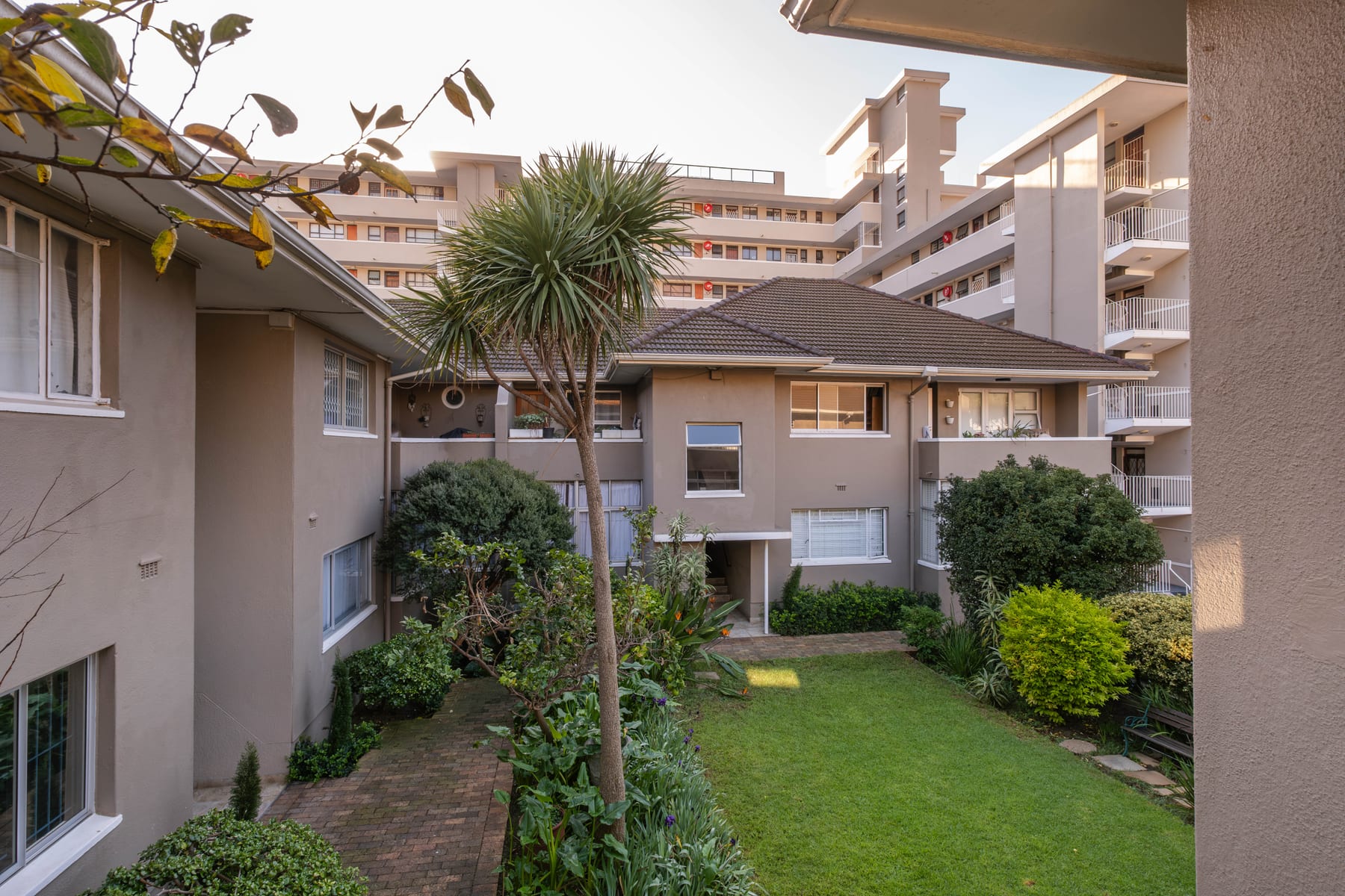 Leafy courtyard viewed from the Belton apartment complex